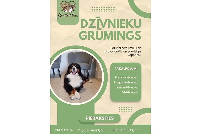 pet grooming