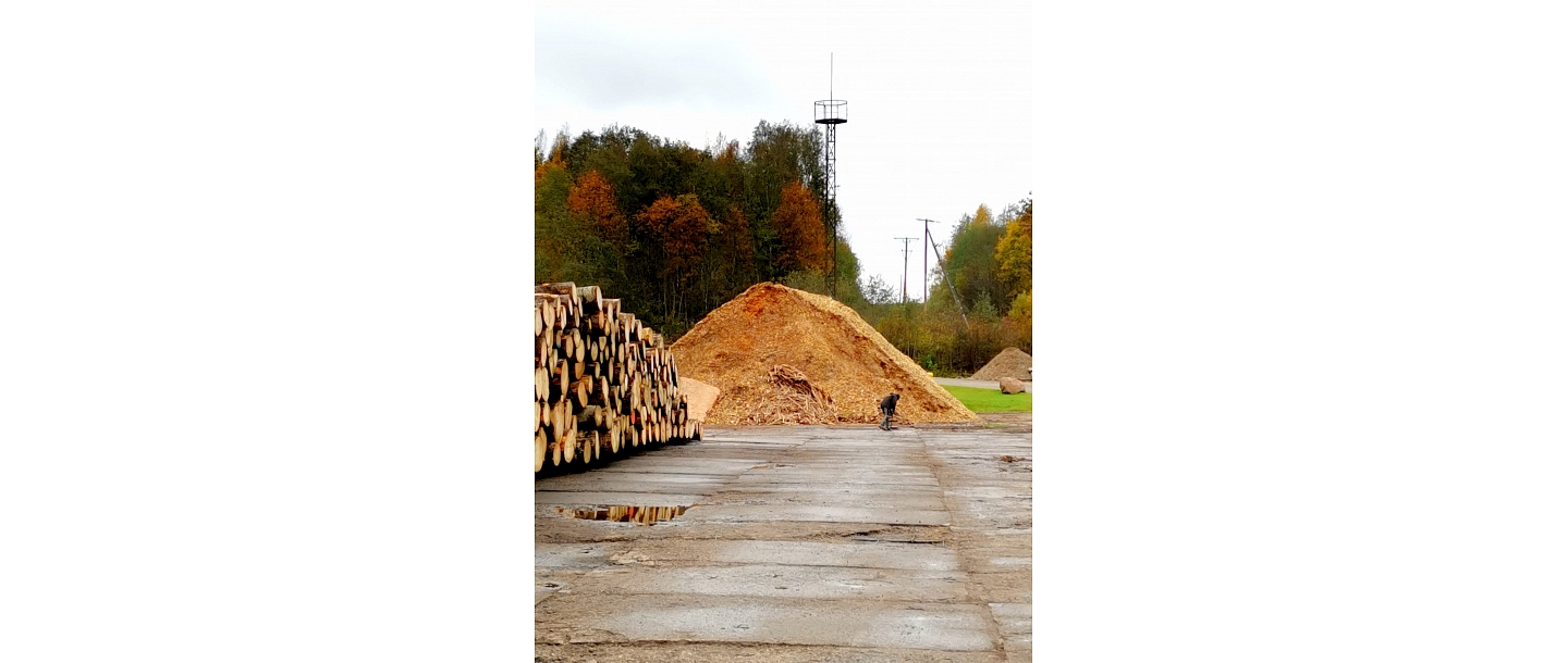 Kokapstrādes uzņēmums