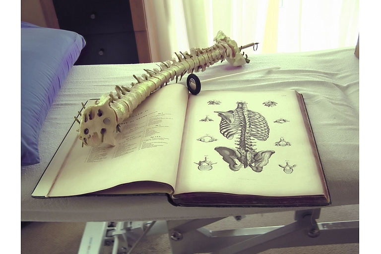 Doctor osteopath