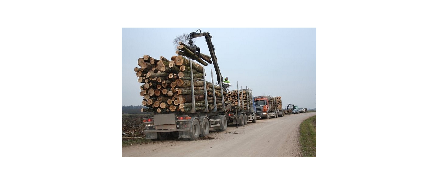 kokvedēju pakalpojumi