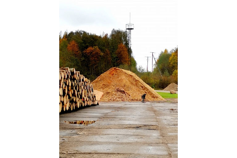 Timber company