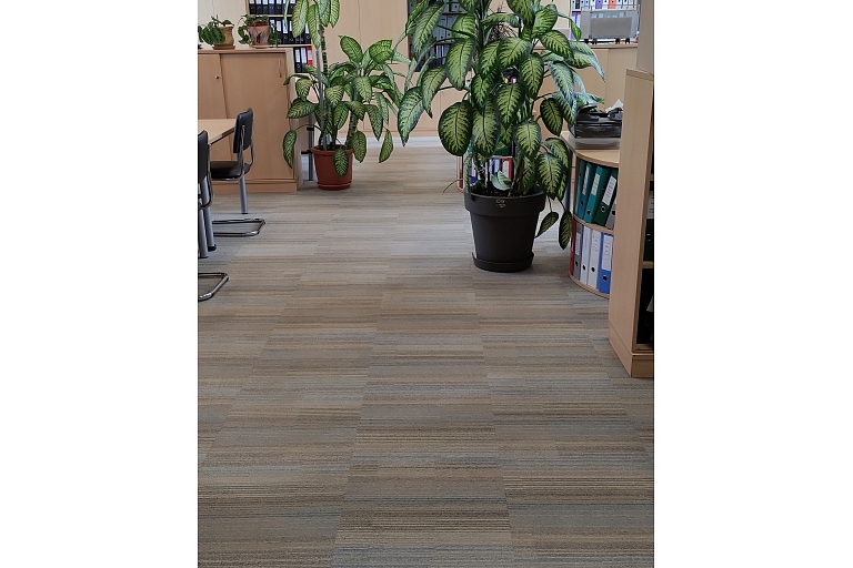 Soft flooring cleaning