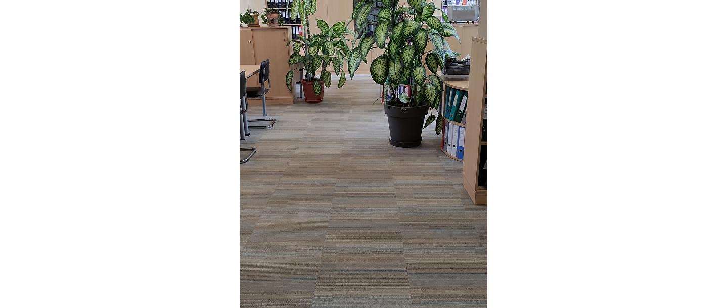 Mīksto grīdas segumu tīrīšana