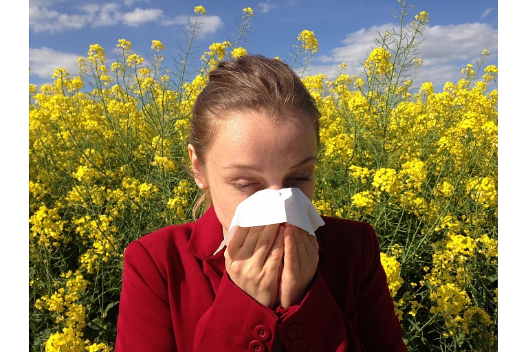 alerģijas ārstēšana