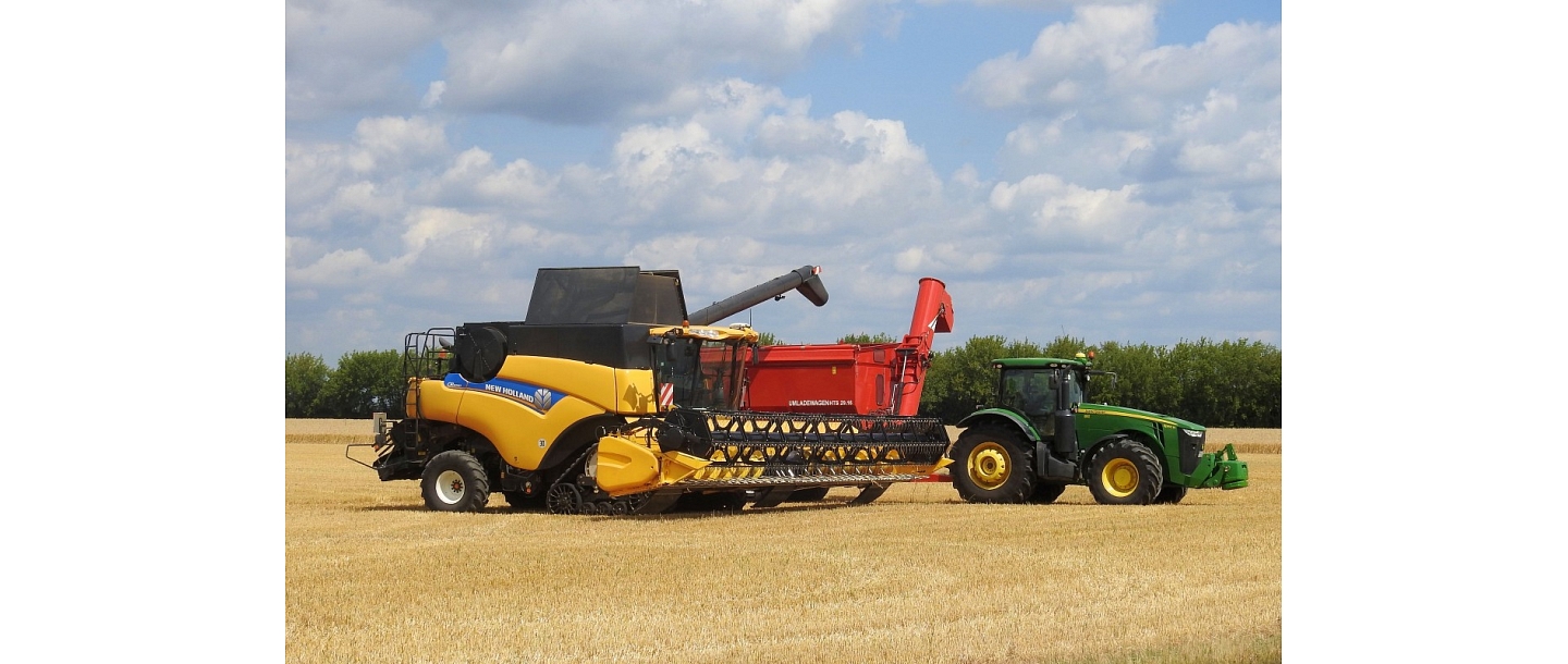 grain growing in Vilaka