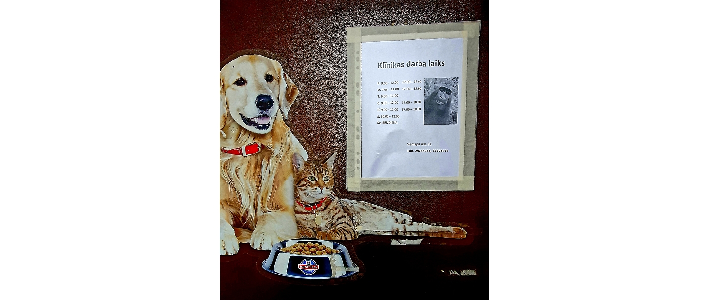 veterinārā klīnika