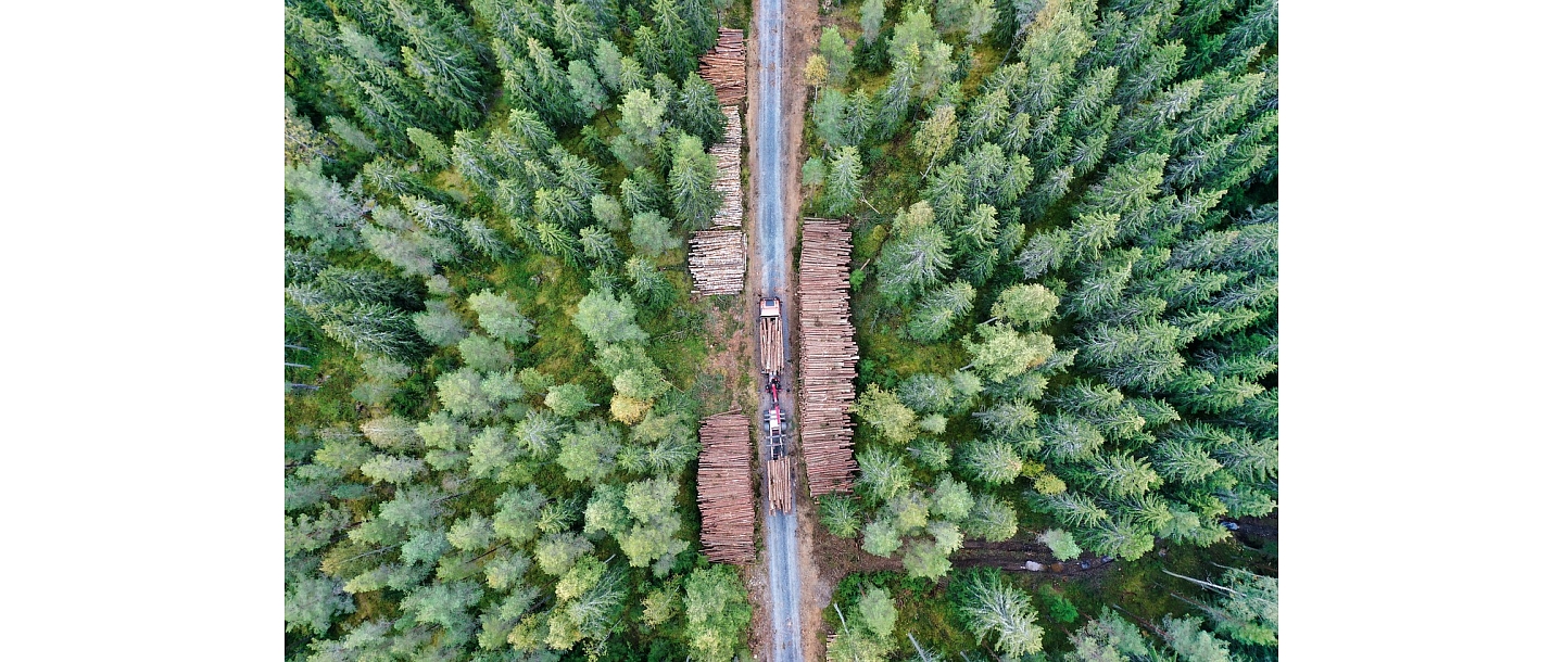 Tiber hauler services