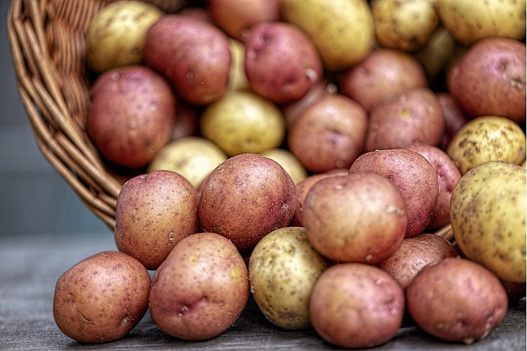 potato wholesale