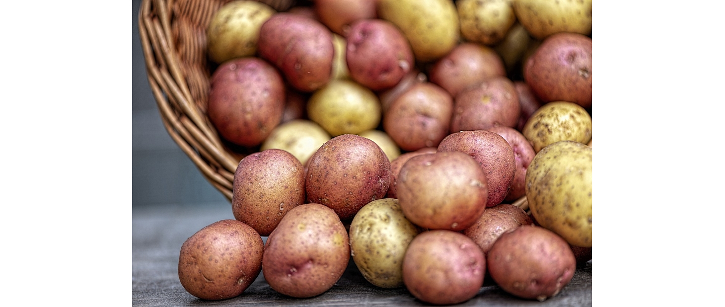 potato wholesale