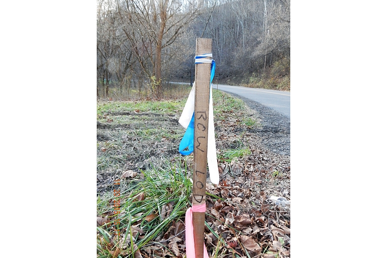 Geodesy, surveying