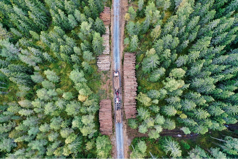 Услуги лесовоза