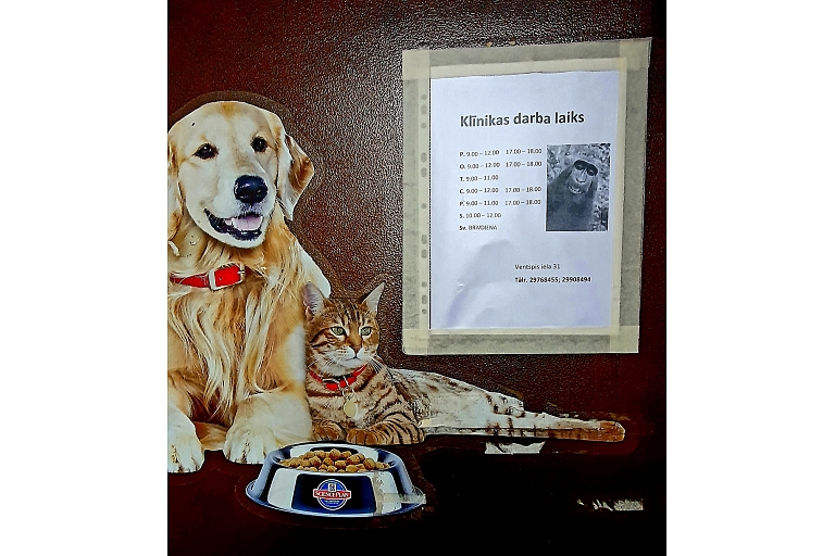 veterinary clinic