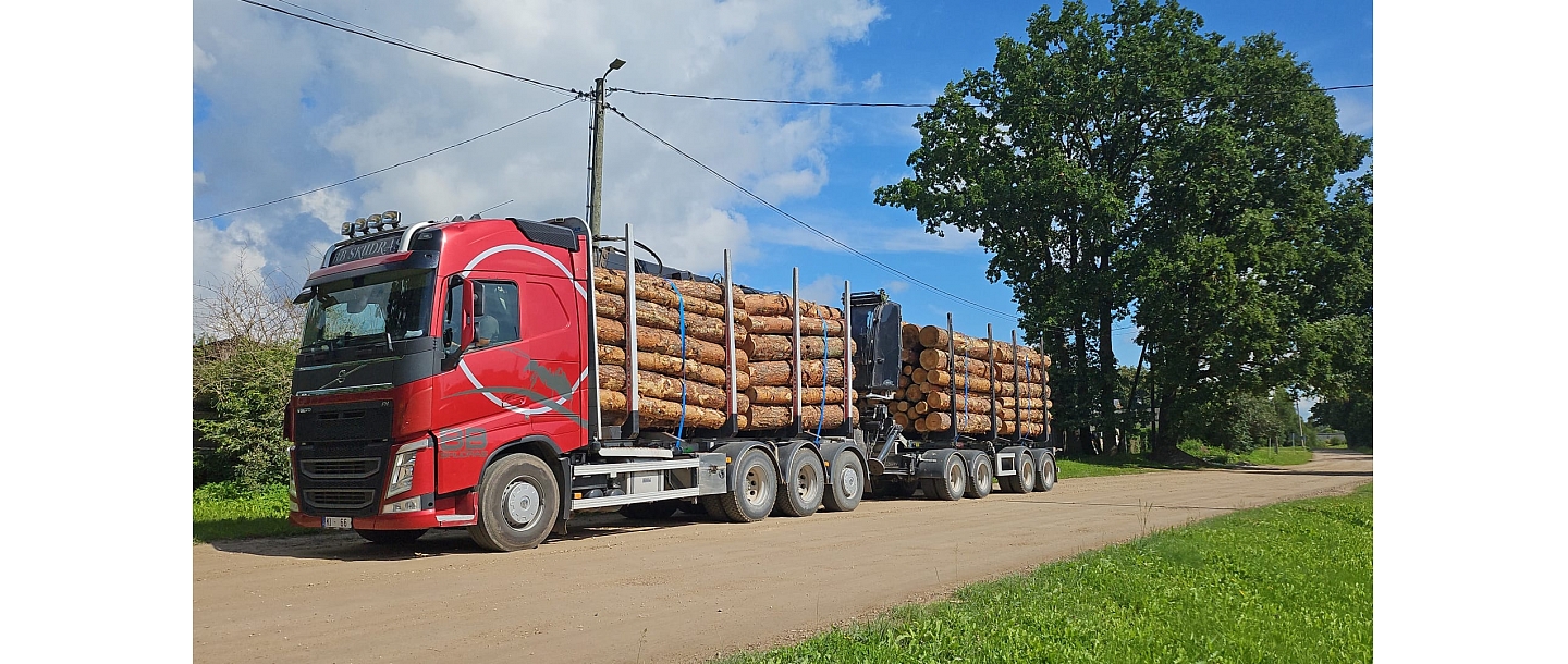 Logging services for logging