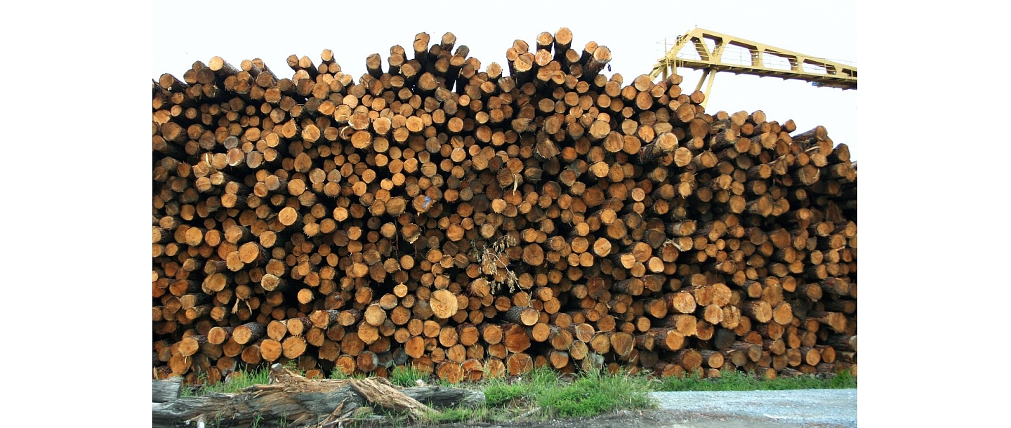 Purchase of round timber