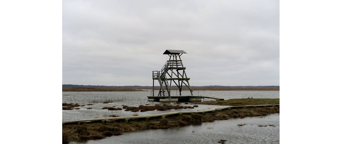 braucienu organizēšana