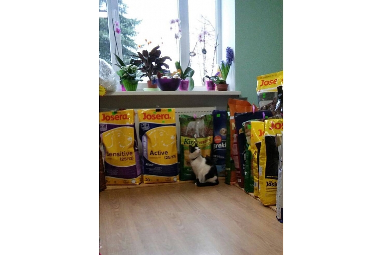 корм для животных