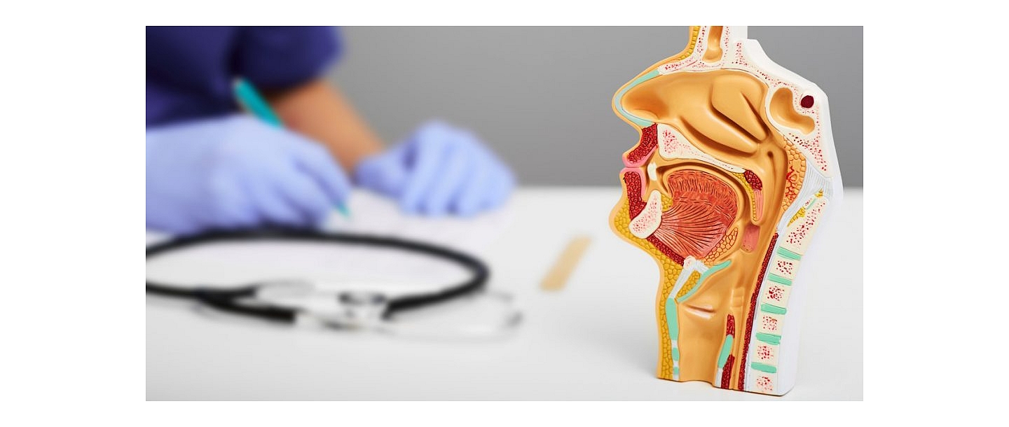 Ушей, болезни горла и носа