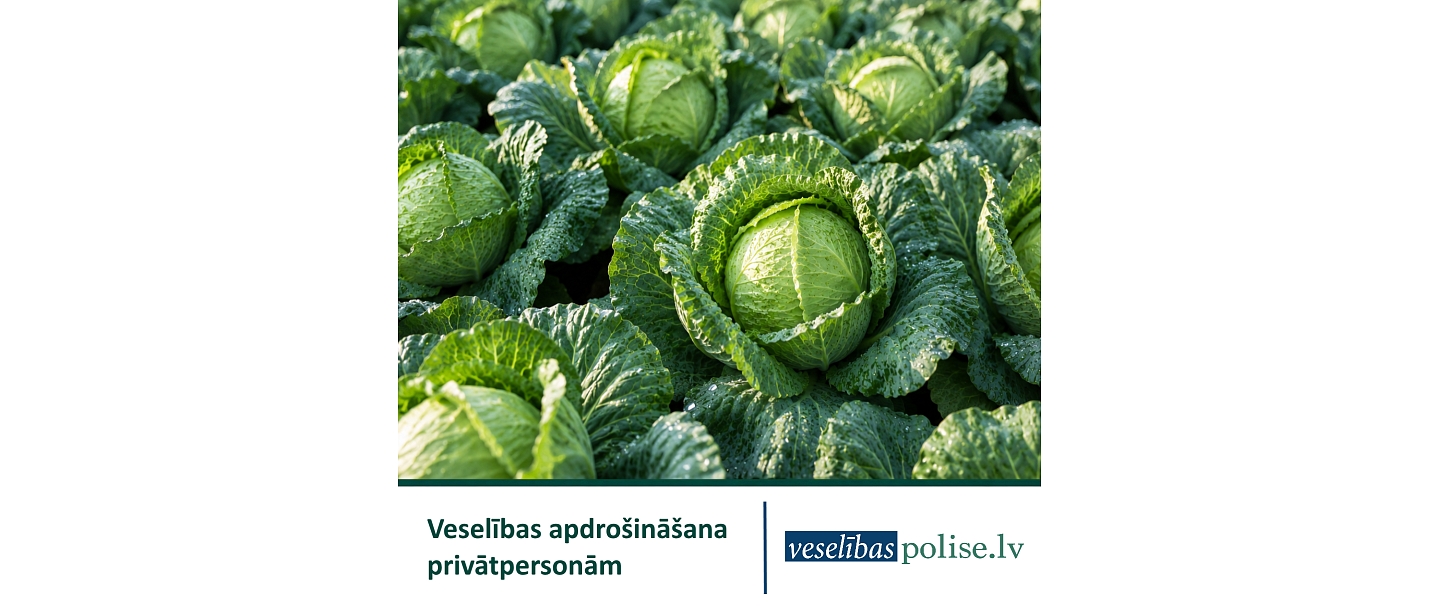 Health insurance for private persons