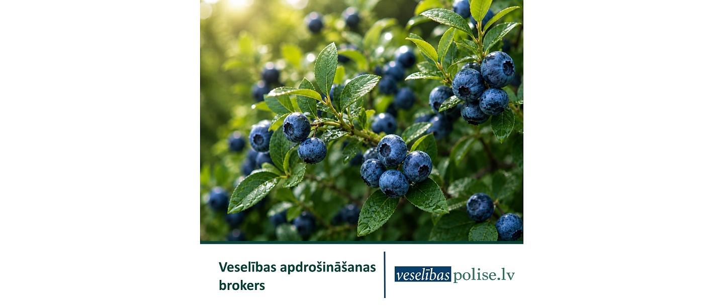 Veselības polise