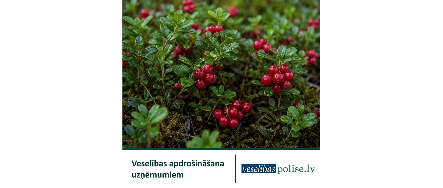 Veselības apdrošināšana uzņēmumiem