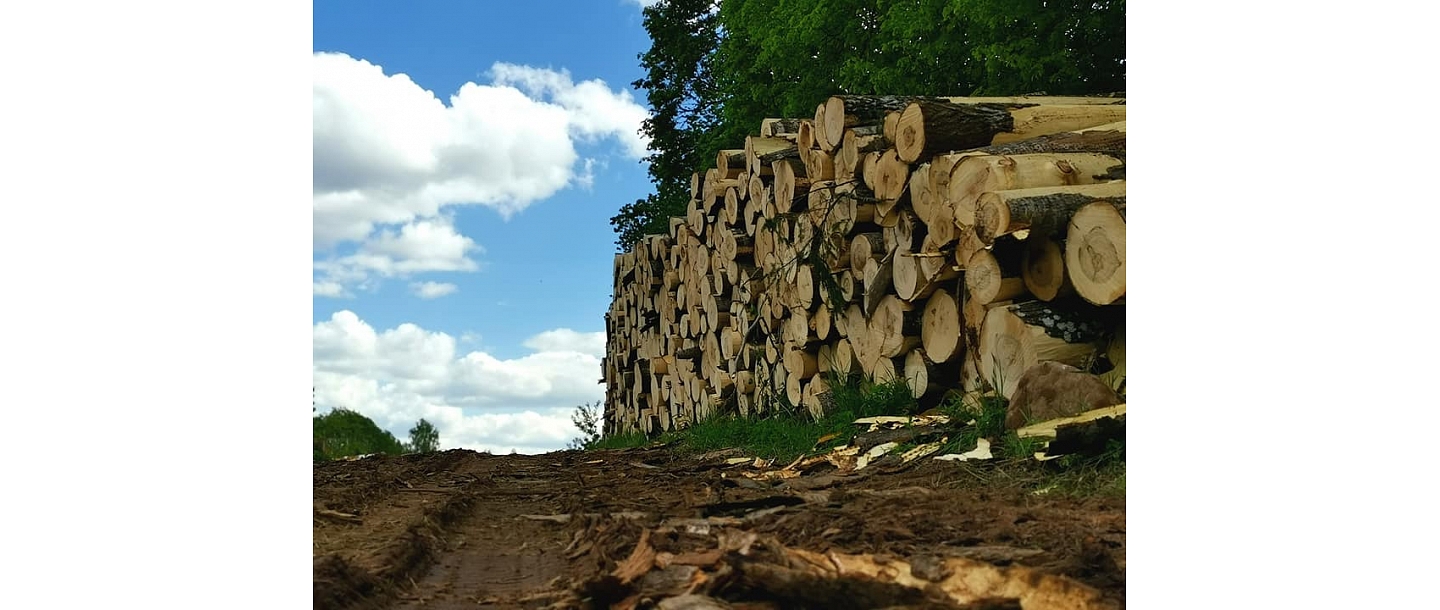 Purchase of aspen logs