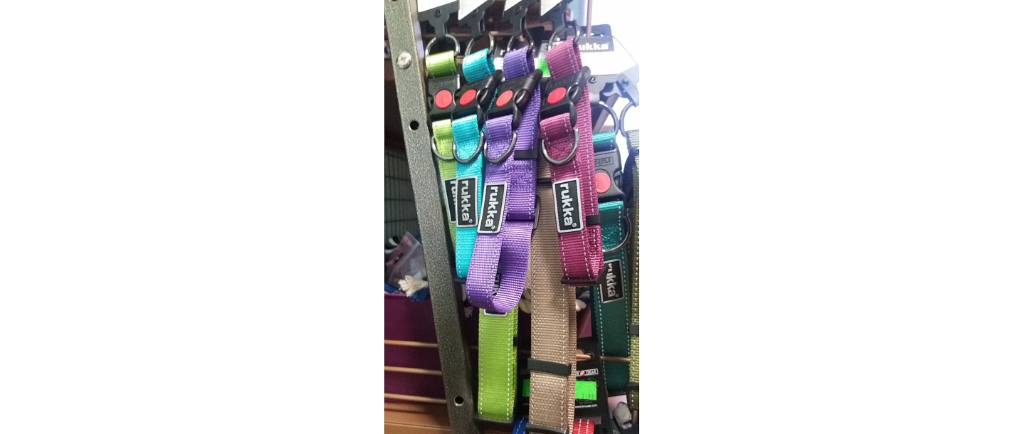 zooveikals Cēsīs