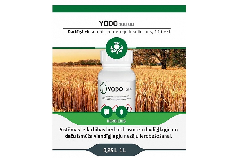 YODO 100 OD