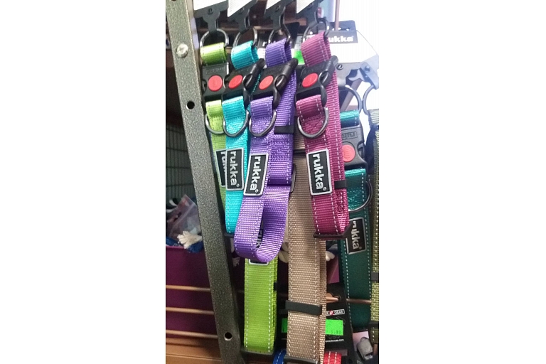 zooveikals Cēsīs