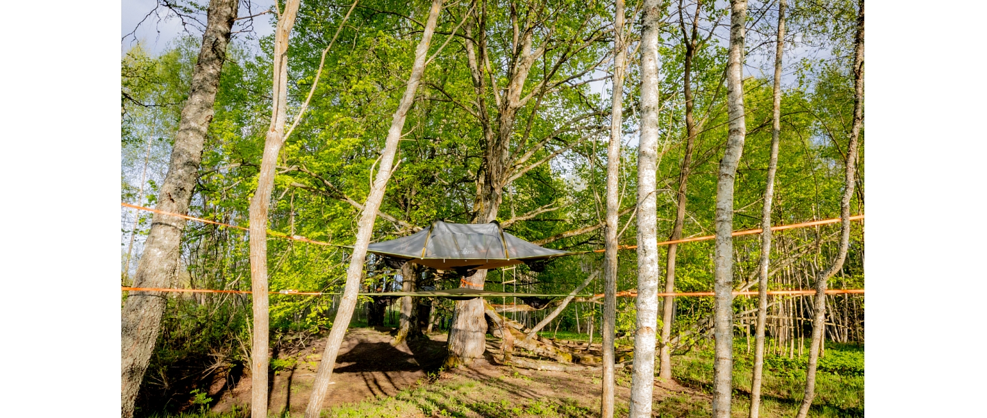 Teltis Liepās