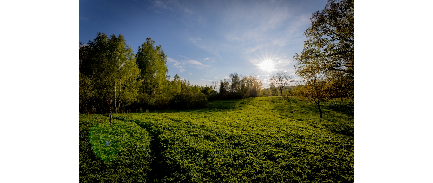 Tents Liepa territory