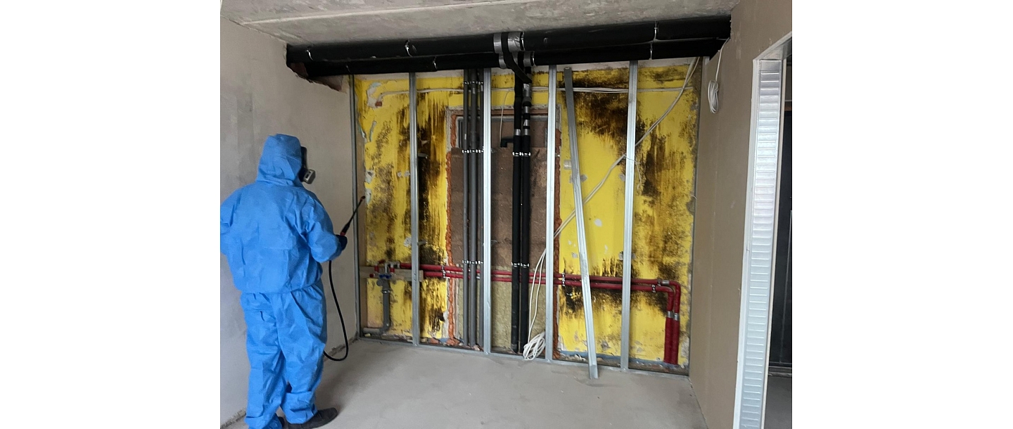 Fighting mold