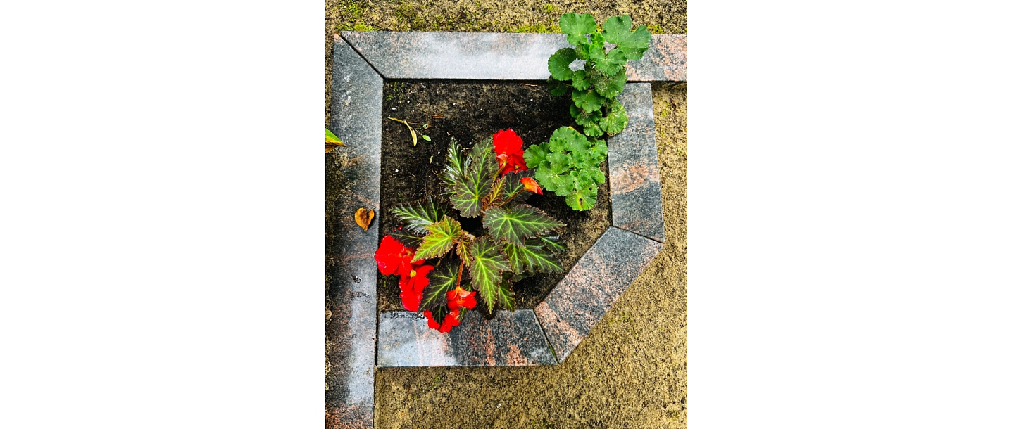 grave site improvement