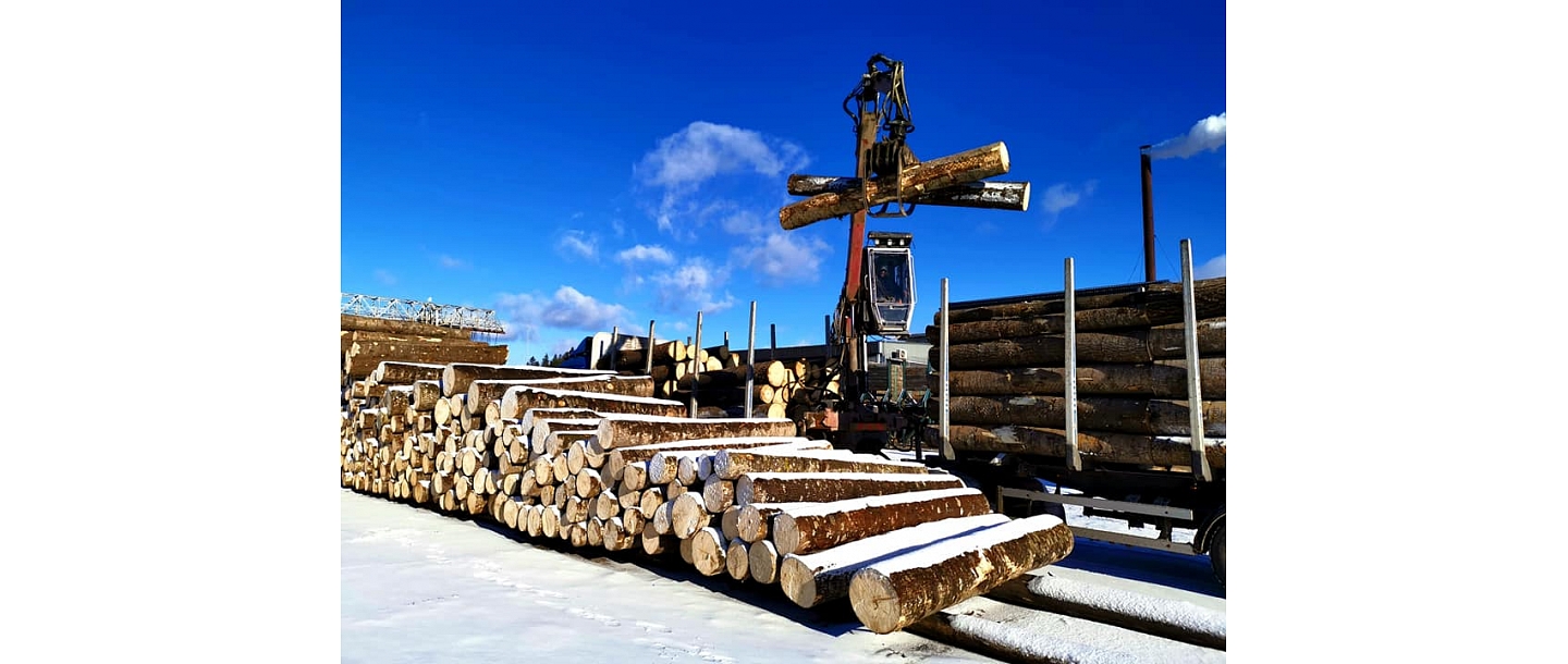 purchase of logs