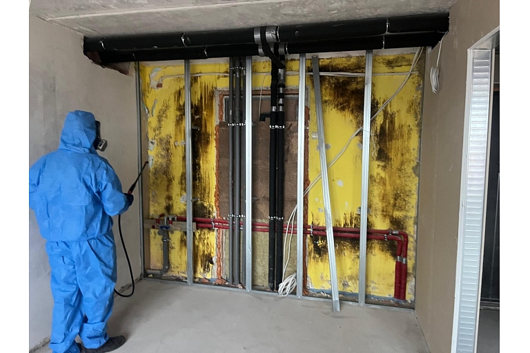 Fighting mold