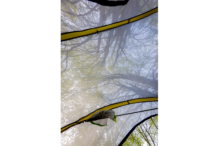 Inside the tent