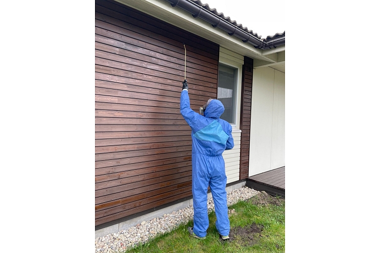 Wasp and other pest control
