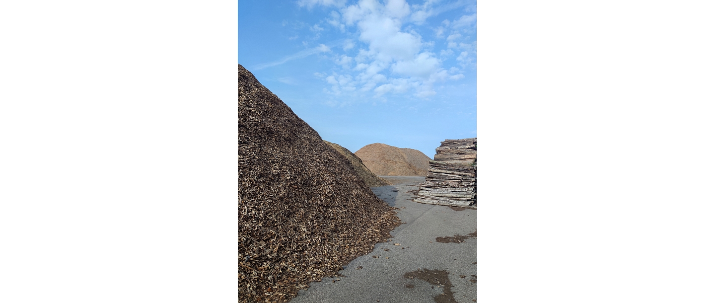 wood buyers