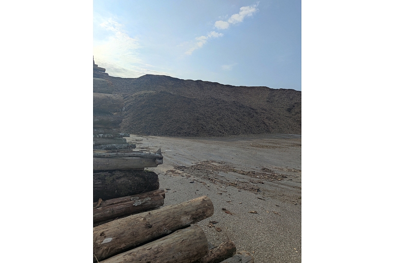 apaļkoku iepirkšana