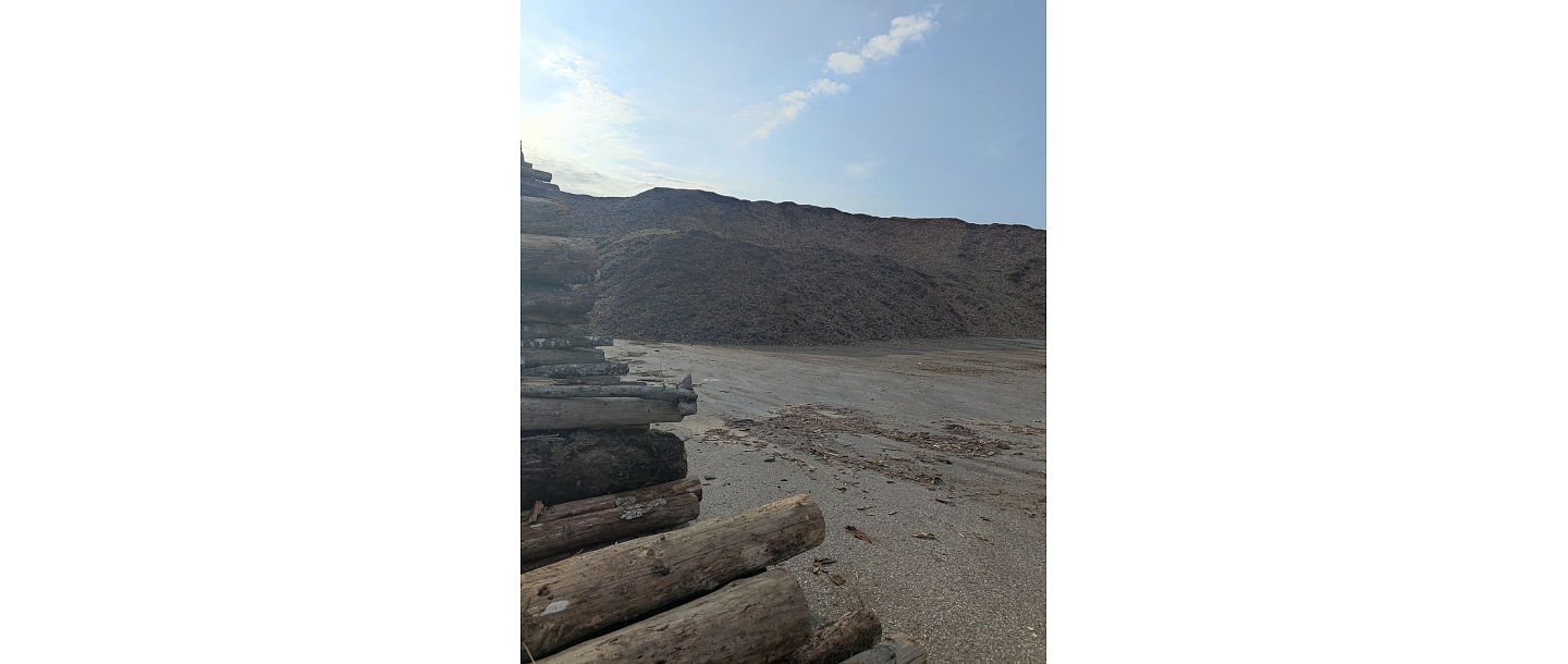 purchase of round timber