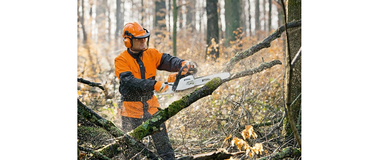 Valuation of fellings and forest