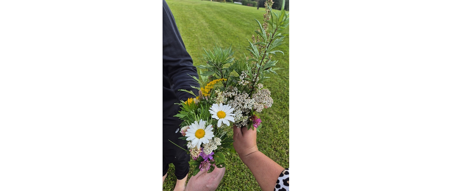 Professional sauna education