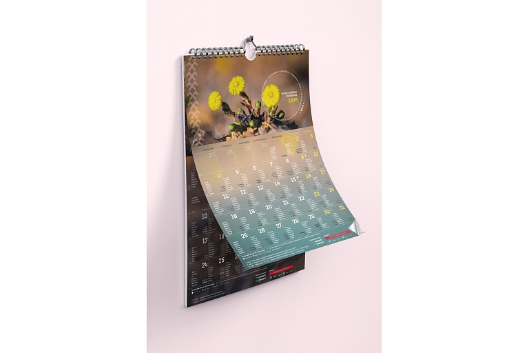 Wall calendar