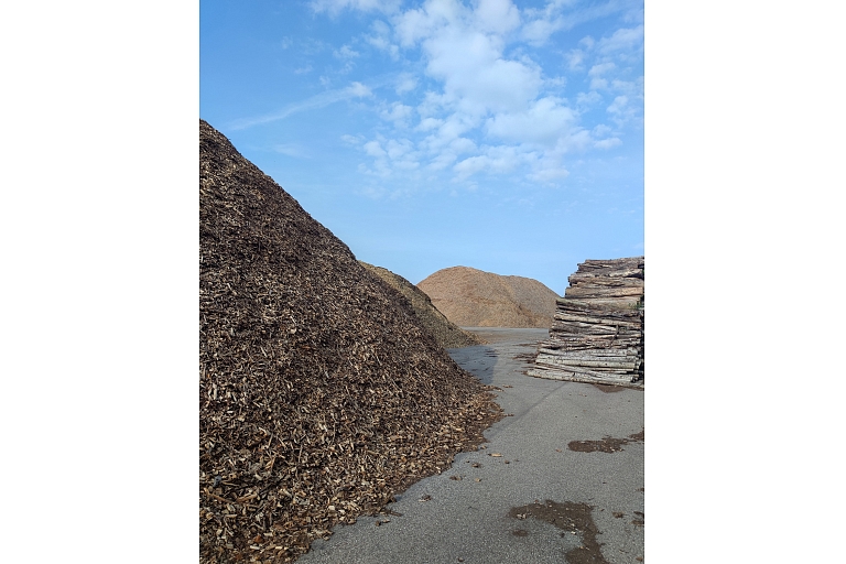 wood buyers