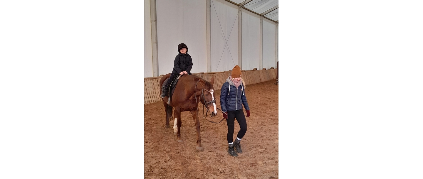 Social rehabilitation