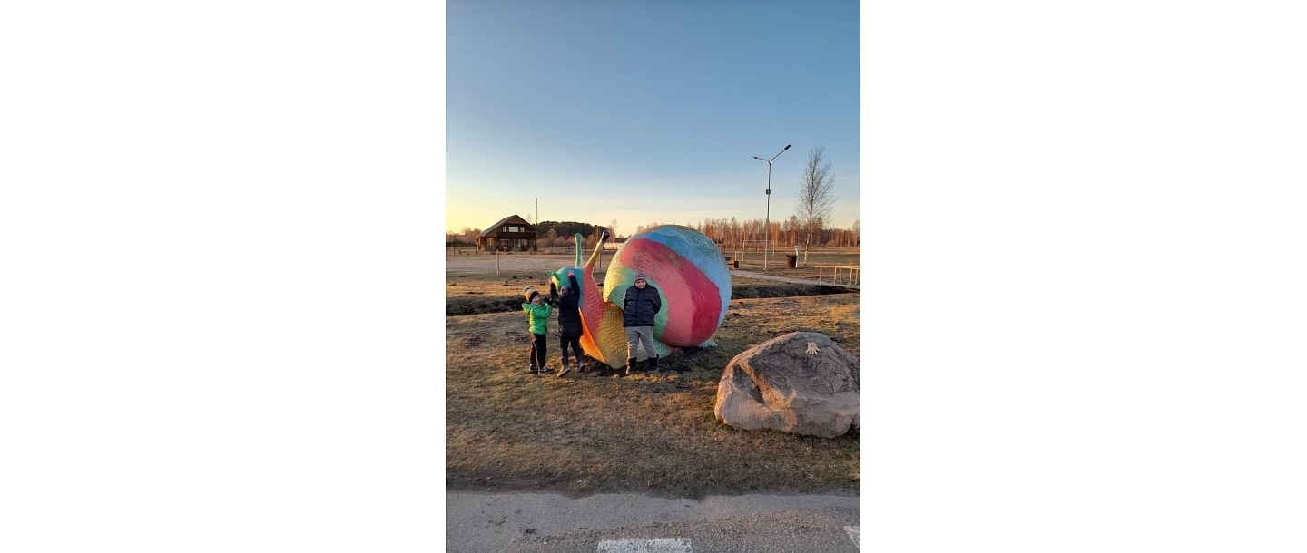 Social rehabilitation