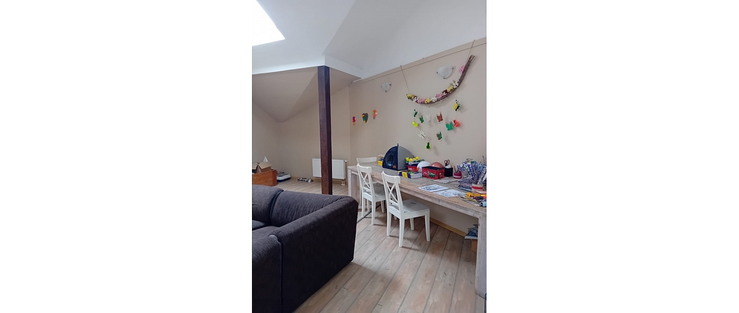 Social rehabilitation