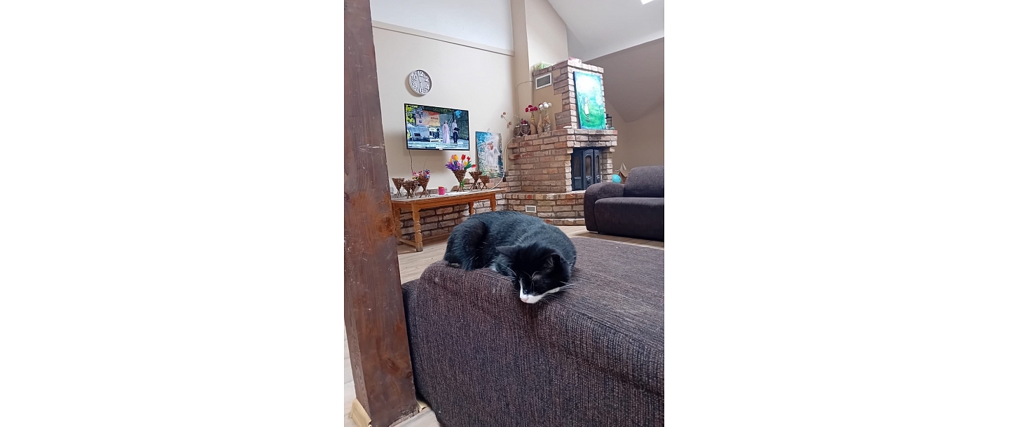 Кризисный центр для женщин и детей