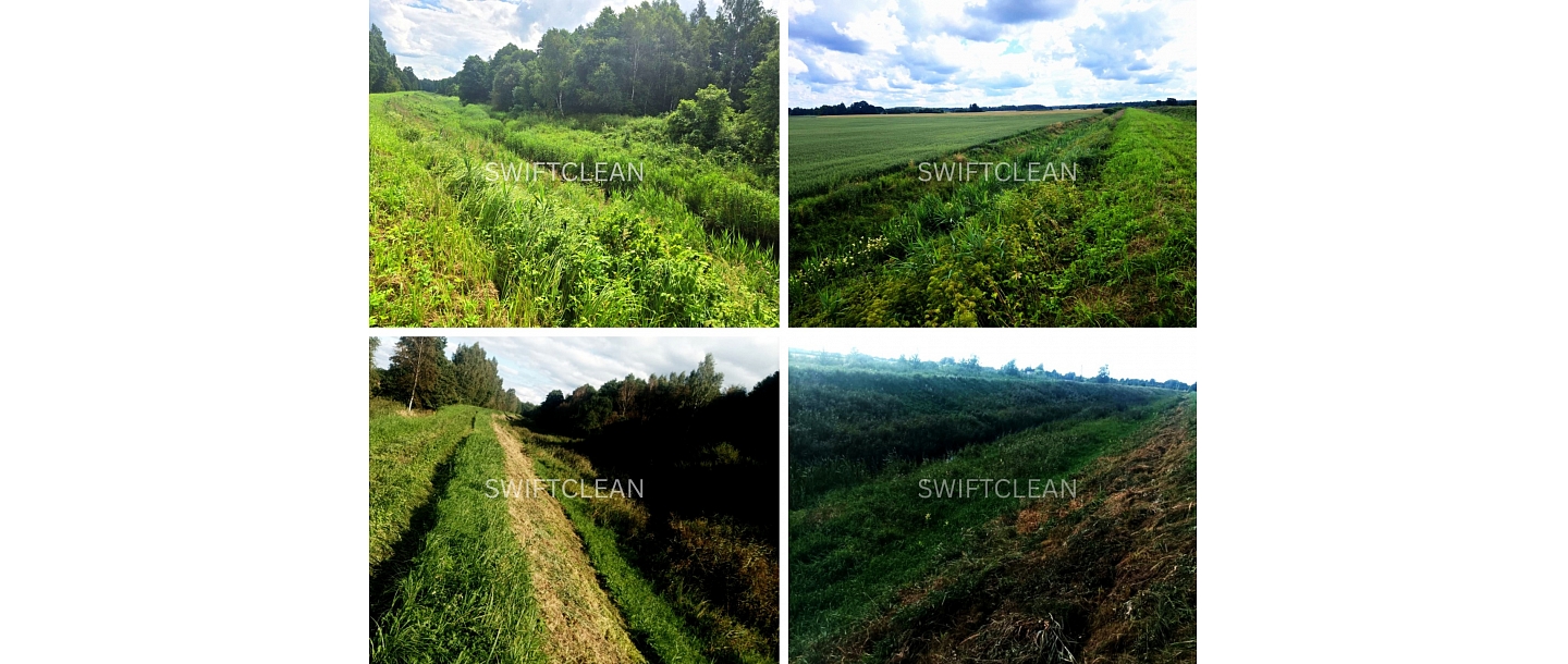 zāliena sēšana, pļaušana