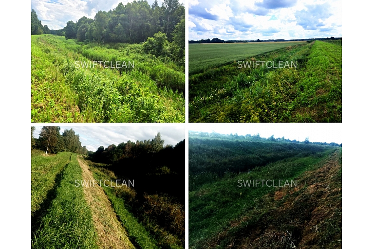 zāliena sēšana, pļaušana