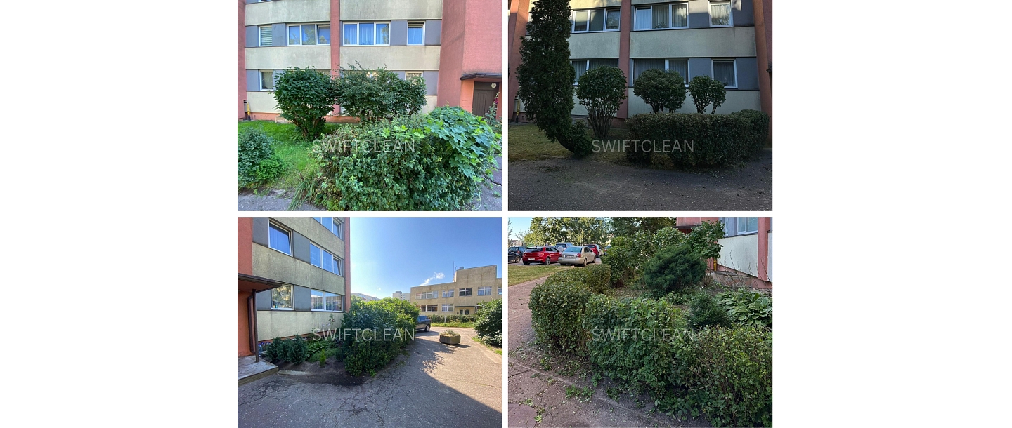 real estate managers